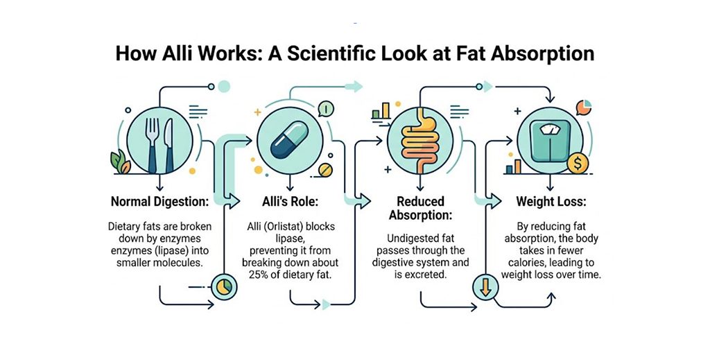 Does Alli Work for Weight Loss Effectiveness Side Effects B