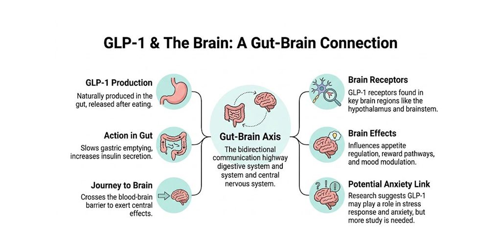 GLP-1 and Anxiety What You Need to Know A
